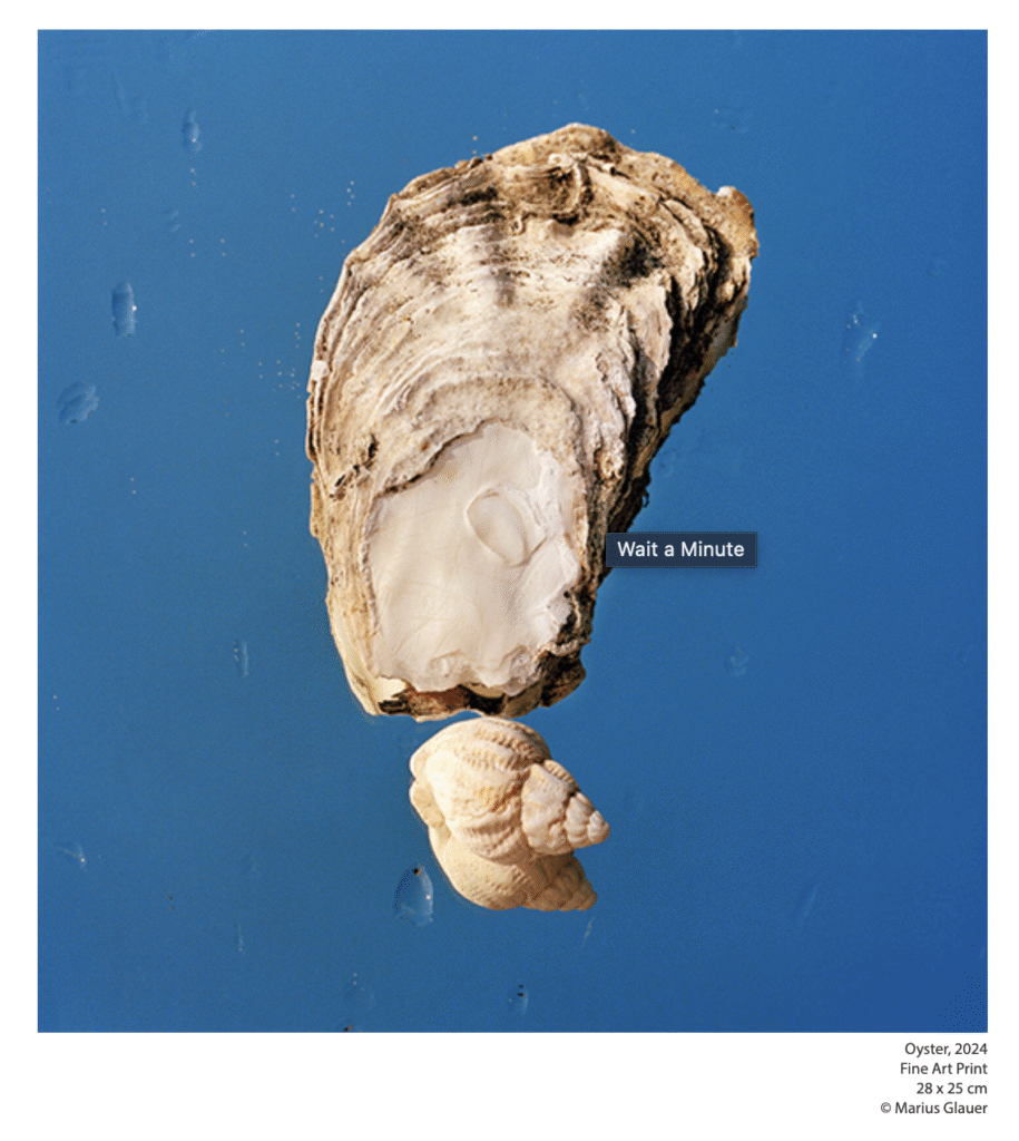 Kunst Fotografie Muschel Glauer